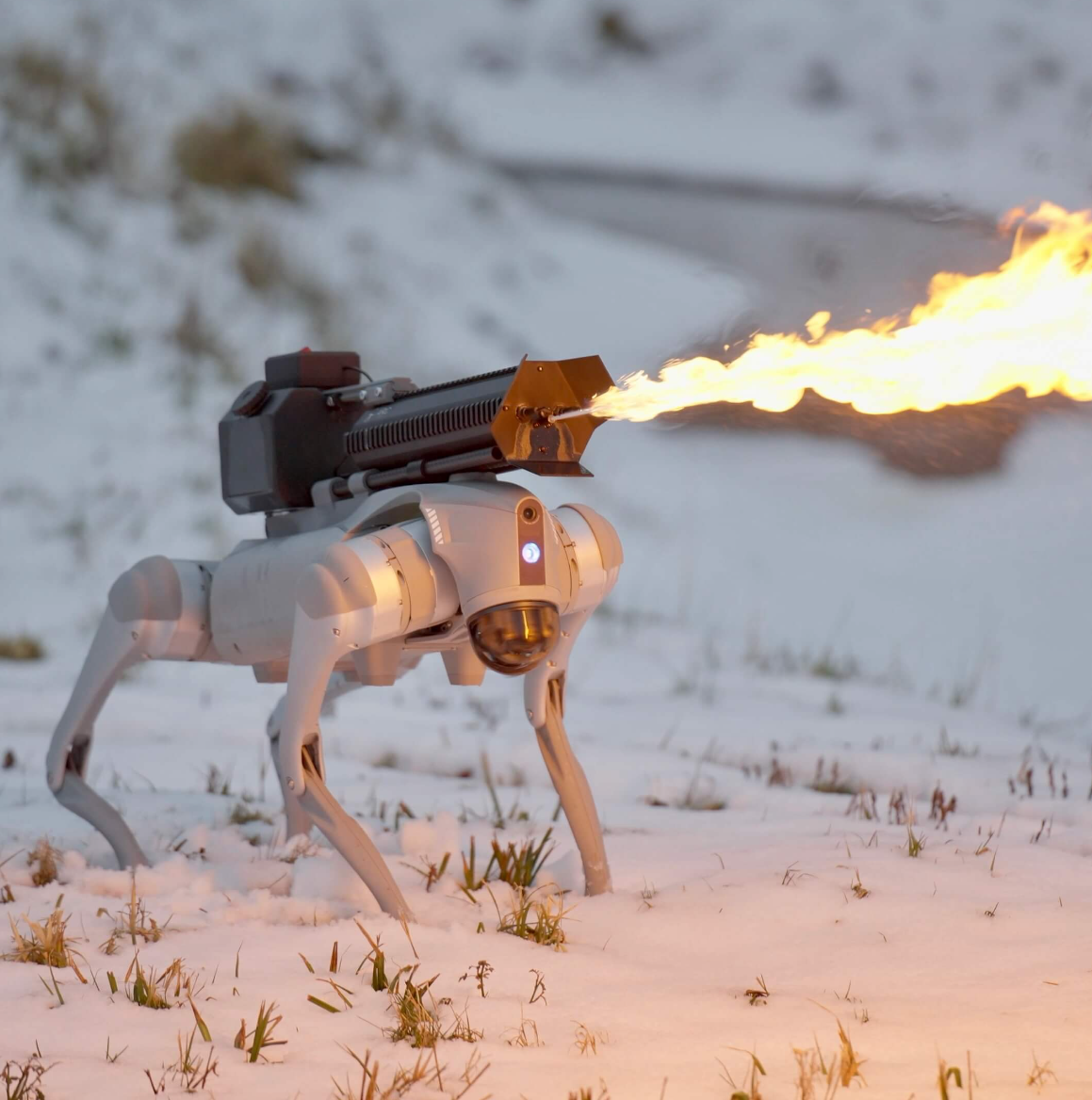 美国一公司开售火焰喷射机器狗，售价不到1万美元